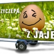 przyczepa z jajem